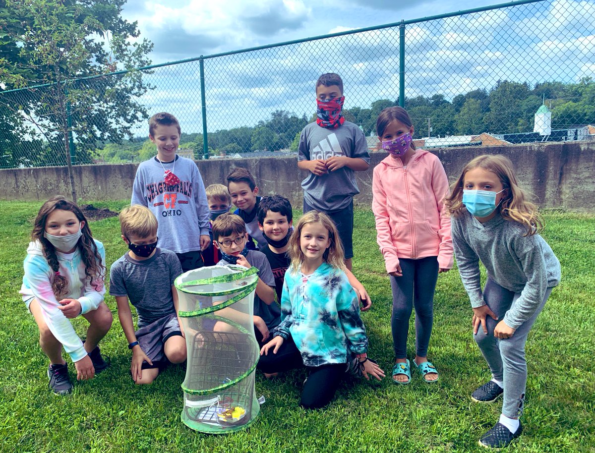 MsKlusmann's tweet photo. Observing the metamorphosis from chrysalis to BUTTERFLY! 🔬🦋 https://t.co/jkQmj7gLxw