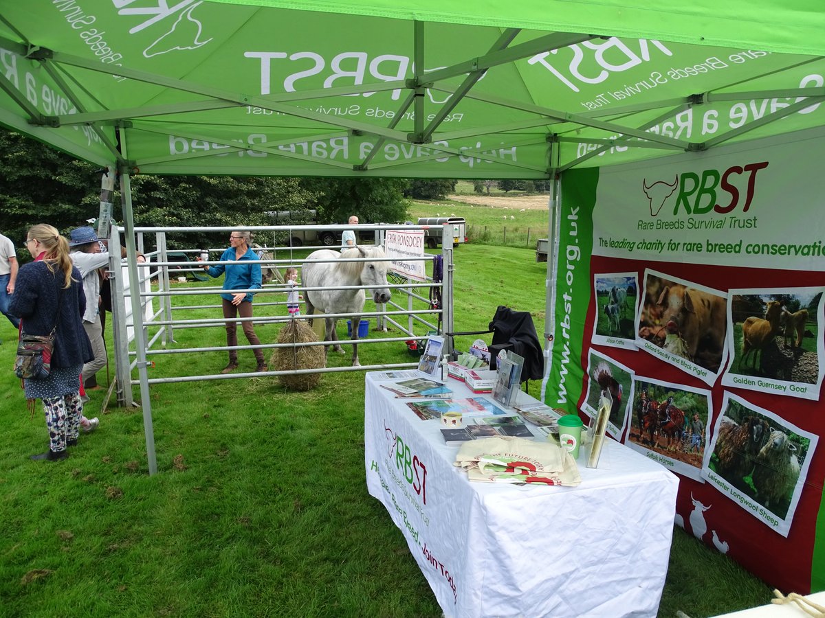 Just back from a great day at the #huntlyhairst held at @LeithHallNTS 
A lot for folk to see at the <a href="/rbstnorthscot/">rbst northern scotland</a> stand including #eriskaypony #portlandsheep #nativebreedsheep #nativepoulty including #turkeys.
Thanks to all who helped.
#GoNative