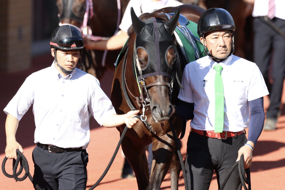 octagonal1's tweet image. 今回は内枠外伸び馬場に泣かされた感かな
#ザダル
#大竹厩舎