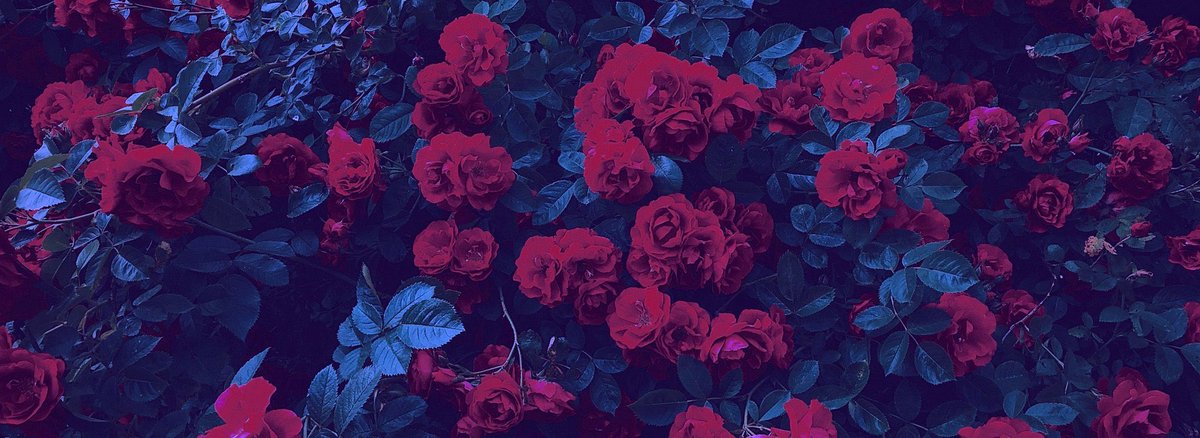 𝚘, 𝚠𝚒𝚝𝚑 𝚢𝚘𝚞 𝙸 𝚠𝚊𝚜 𝚗𝚎𝚛𝚟𝚘𝚞𝚜 𝚊𝚜 𝚑𝚎𝚕𝚕, 𝚊 𝚋𝚘𝚝𝚝𝚘𝚖𝚕𝚎𝚜𝚜 𝚙𝚒𝚝 ; 
𝚜𝚗𝚊𝚔𝚎𝚜 𝚍𝚒𝚍𝚗'𝚝 𝚎𝚟𝚎𝚗 𝚜𝚌𝚊𝚛𝚎 𝚖𝚎 𝚚𝚞𝚒𝚝𝚎 𝚕𝚒𝚔𝚎 𝚢𝚘̲𝚞̲ 𝚍𝚒𝚍.

忠。
oysterluvr22.carrd.co