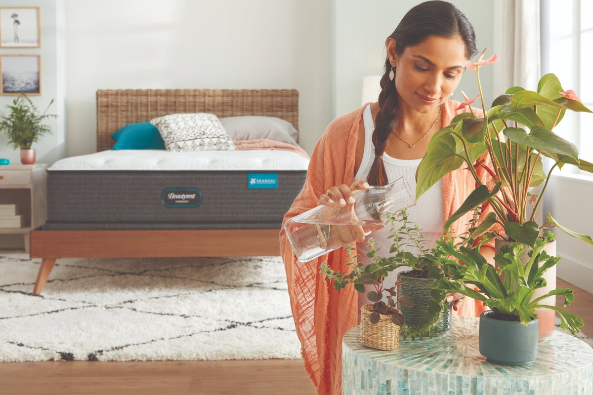 These <a href="/Beautyrest/">Beautyrest</a> can't be bought for less than factory direct...and right now is the best time to save on a better night's sleep. stlmattressdirect.com/simmons-beauty…