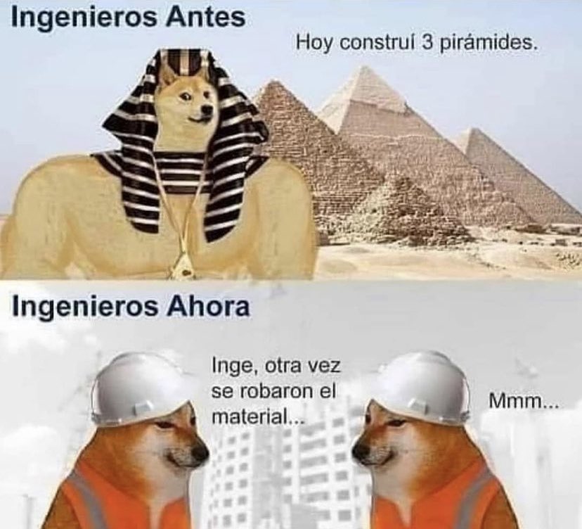 Capture Bizarre® (@capturebizarre) on Twitter photo 