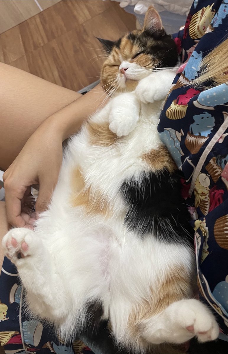 ไปนอนที่อื่นได้มั้ยคะ