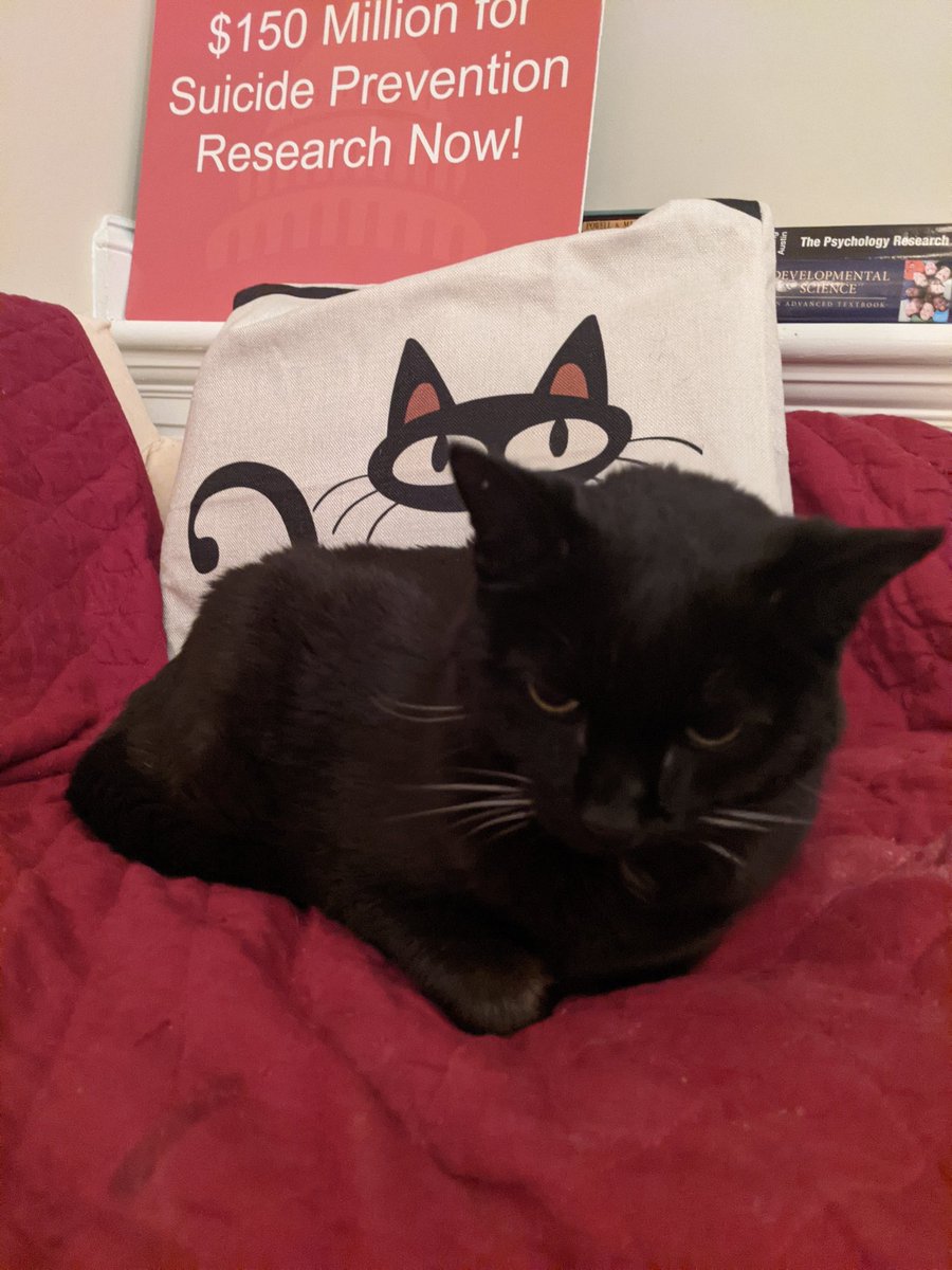 AbbyAraCUA's tweet photo. @craigjbryan @RaymondPTucker @BlaireEhretPhD @KellyLGreenPhD @sarahevictor @SFreedenthal @cat_armani @CatsofSPSM Time to revive #CatsofSPSM for a little friendly competition? π¬
#catsofsuicideprevention #catsofsuicidology https://t.co/c3fxjjQXqd