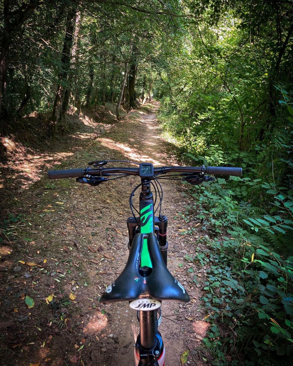 selle_smp's tweet photo. Can't wait to enjoy unexplorer paths 😉
📷 @versilia_mountain_bike_tours
#sellesmp #designedonyourbody #handmadeinitaly #saddle #saddles #cycling #cyclist #cyclingtips #cyclingadventures #cyclingaddict #passioneciclismo #outsideisbest #biketrail #bikewithoutlimits https://t.co/OY6N5Iobe7