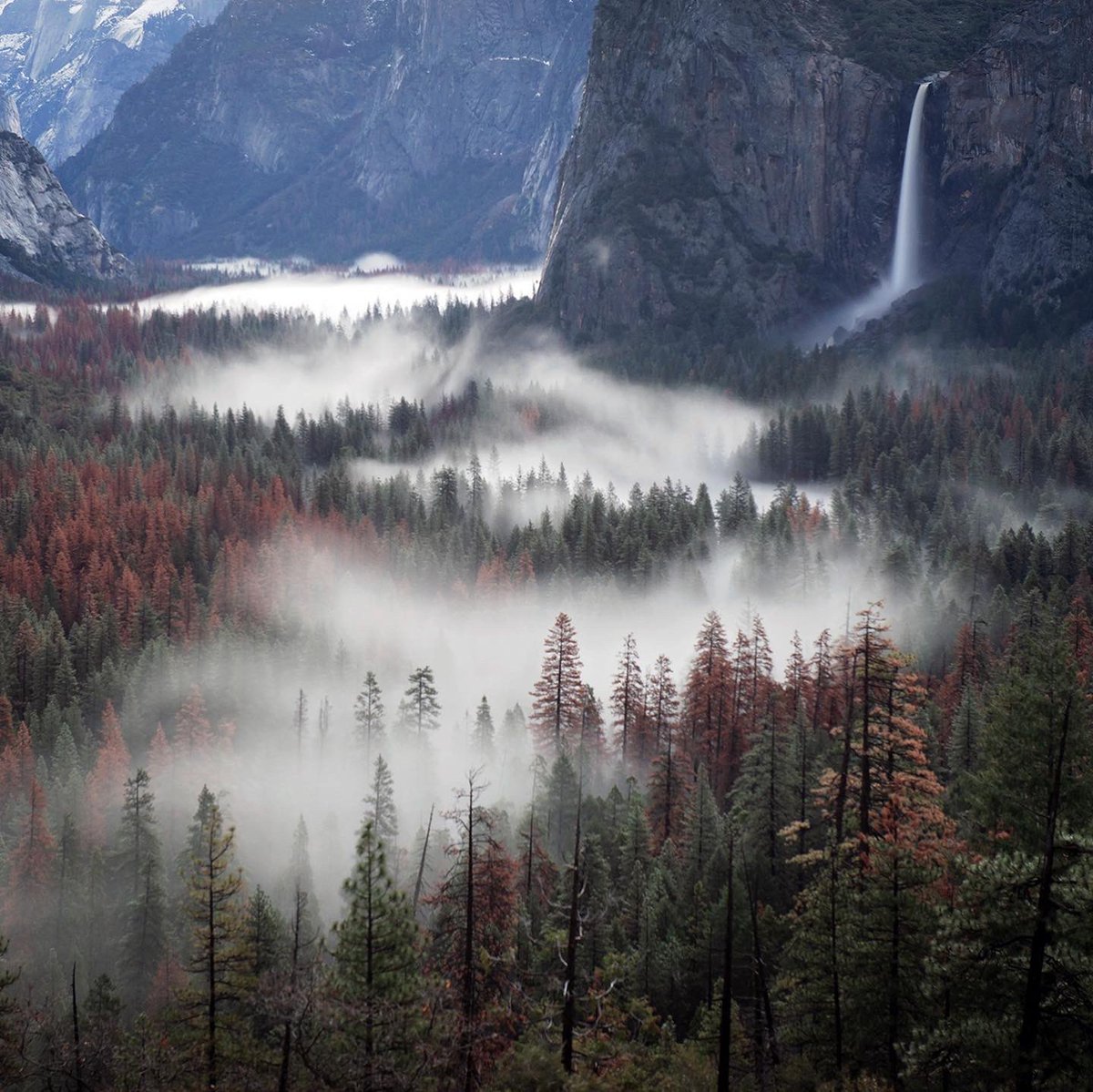 Go with the flow

Here’s wishing you all a peaceful Sunday. 
“ Listen to the silence, cause it has so much to say”
Rumi