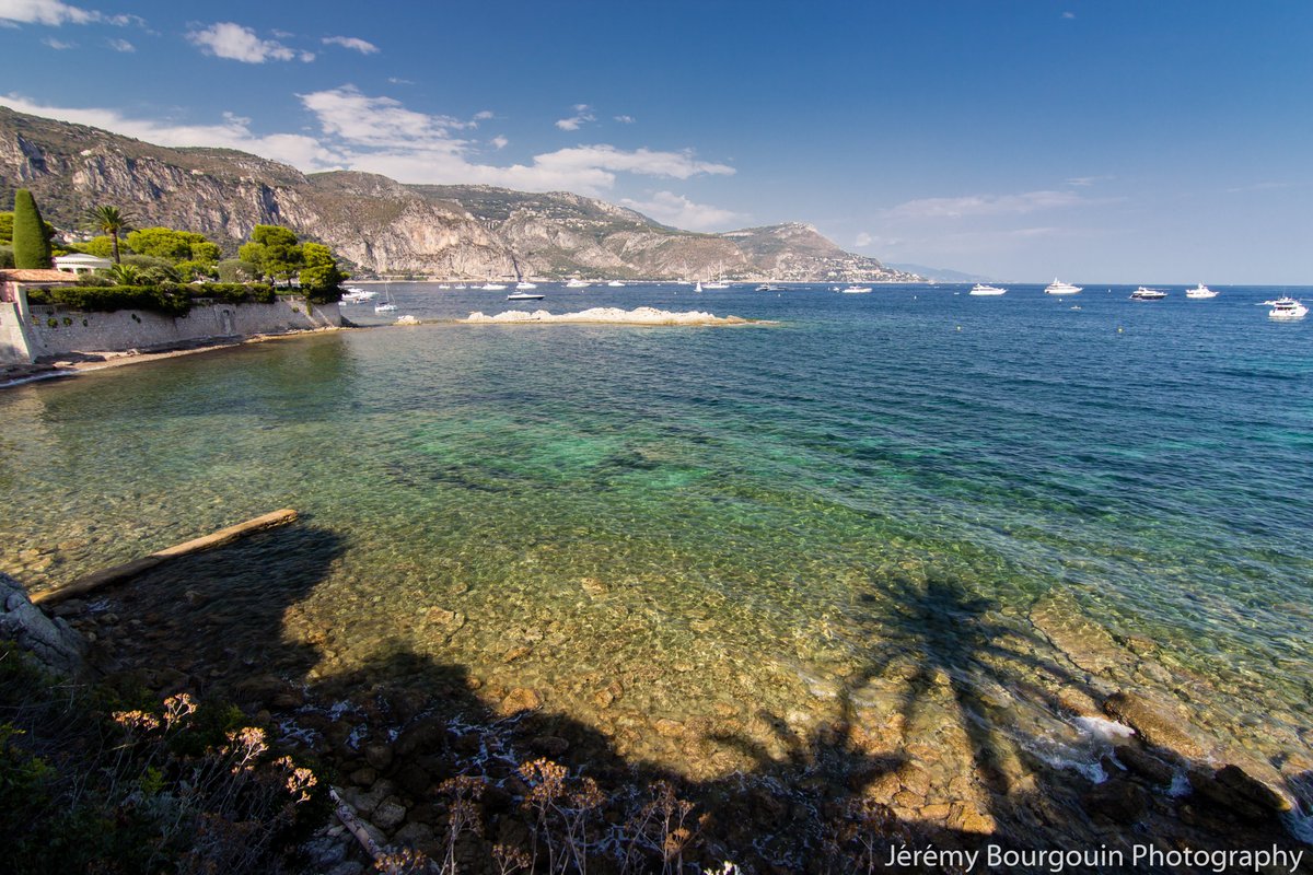 Cap Ferrat has a very pleasant coastal path, with stunning views on the Riviera.
#CotedAzurFrance #frenchriviera #フランスのリビエラ #photography #photographie #写真 #France #フランス #AlpesMaritimes 
@VisitCotedazur #sea #mer #海 #CapFerrat #カップフェラ
