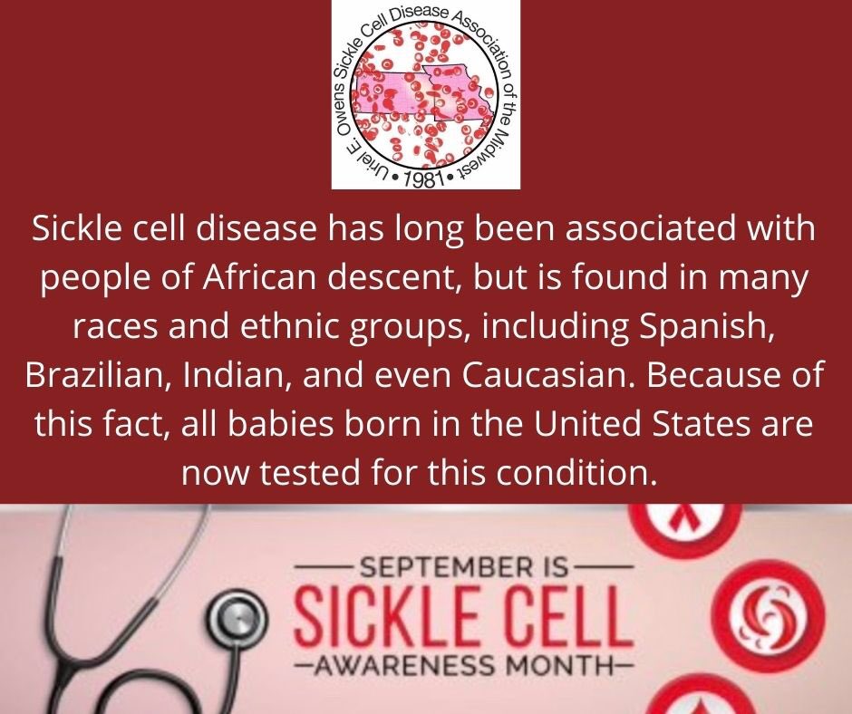Memej99's tweet photo. I'm also going to put this #SCDFact here that @sicklecellmw shared this week. I hope someday we can STOP the #misconception that ONLY people in certain places & of certain #ethnicities, are born with #sicklecelldisease. Read it carefully!!
#SickleCellAwarenessMonth https://t.co/wpodtQFX8L