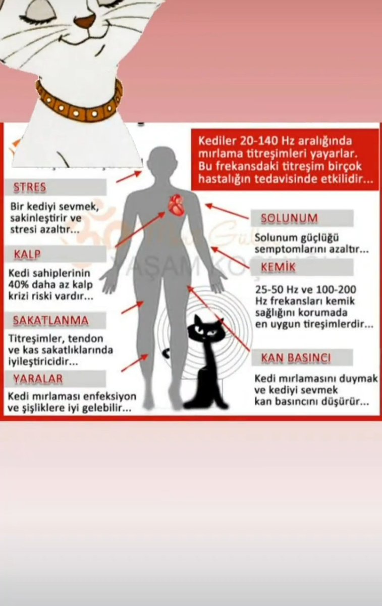 Yalçın tweet media