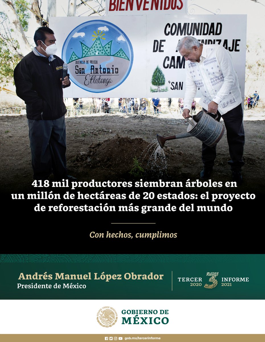 Con el programa @SemVidaMx se están sembrando árboles frutales y maderables en 1 millón de hectáreas.

Es el proyecto de reforestación más grande del mundo.

#TercerInforme