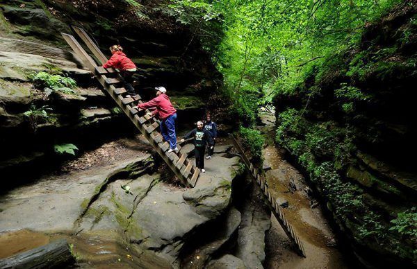VisitIndiana's tweet image. These 10 Hiking Trails Were Voted the Best of Indiana! 🏅
 
𝐑𝐄𝐀𝐃 𝐌𝐎𝐑𝐄: bit.ly/32xxA4x

#VisitIndiana #Indiana #INnature @INDNRstateparks @INdnrnews