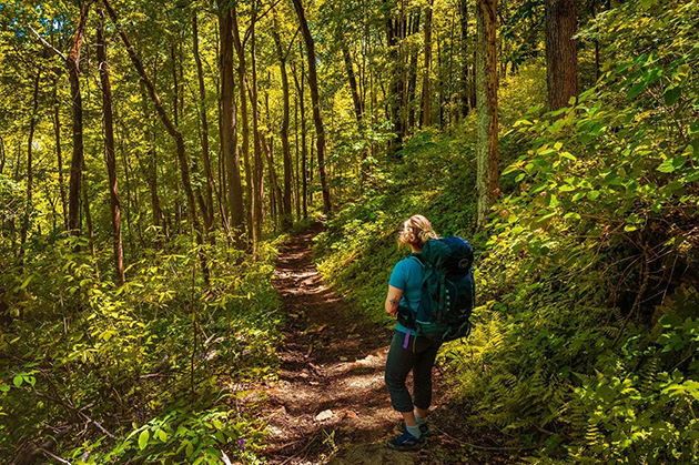 These 10 Hiking Trails Were Voted the Best of Indiana! 🏅
 
𝐑𝐄𝐀𝐃 𝐌𝐎𝐑𝐄: bit.ly/32xxA4x

#VisitIndiana #Indiana #INnature <a href="/INDNRstateparks/">IN State Parks</a> <a href="/INdnrnews/">Indiana DNR</a>
