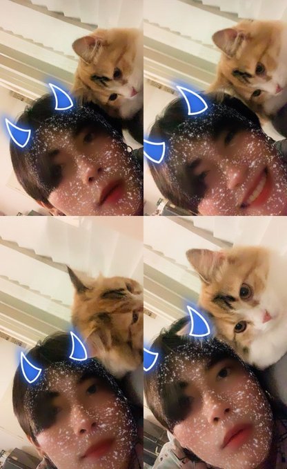 イケメンと猫のTwitterイラスト検索結果。