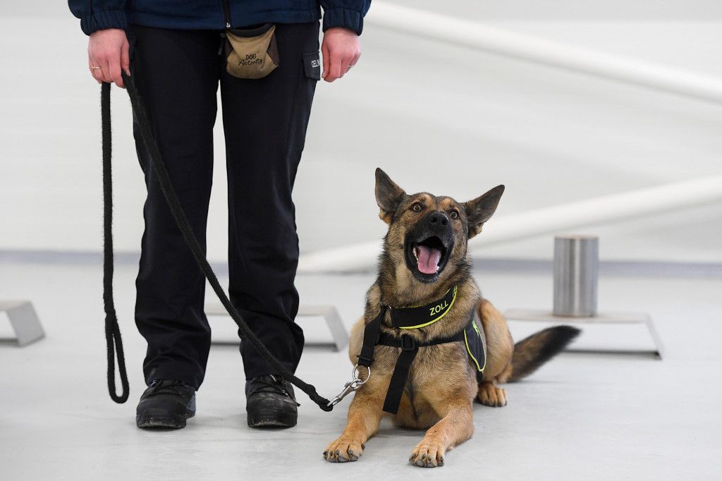 ScotlandYardCSI's tweet photo. "How dogs are sniffing out COVID-19, cancer and more"
https://t.co/55vfiLBwtE
#K9 #SnifferDogs #DoctorDogs #canines #Covid19 #cancer https://t.co/k7qDjTzLEi