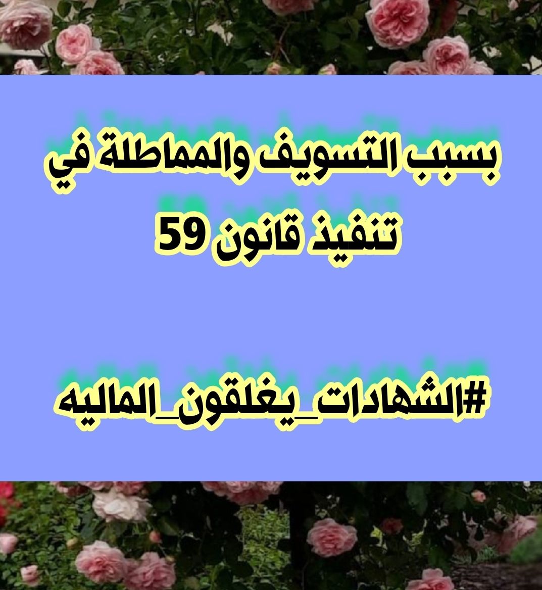 NajarAfrah's tweet photo. لا يصل الناس إلى حديقة النجاح دون أن يمروا بمحطات التعب ،، واليأس،، والاحباط ،، وصاحب الإرادة القوية لا يطيل الوقوف فـي هذه المحطات . 
☝️☝️☝️☝️
( نبذة تعريفية مختصرة عن تجمع وطن )

#الشهادات_يغلقون_الماليه https://t.co/a3aCBDwDps