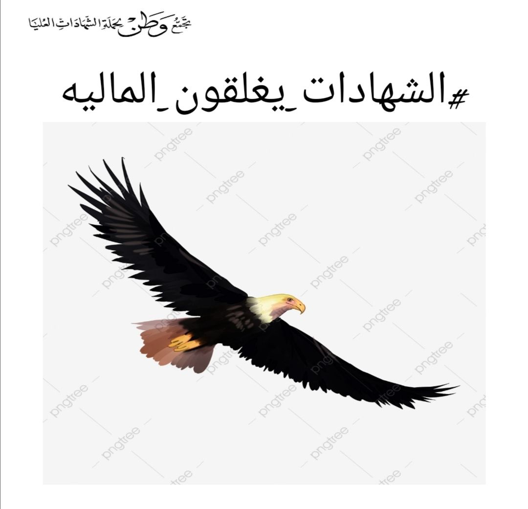 🚫خط أحمر «حقنا نحن الشهادات العليا» فلا تتلاعبوا به، وهذا ليس مجرد كلام فأفعالنا على أرض الواقع سجلها التأريخ بإروع الصور. 
"" حملة الشهادات العليا في العراق مصممون على نيل حقوقهم المشروعة""
#الشهادات_يغلقون_الماليه