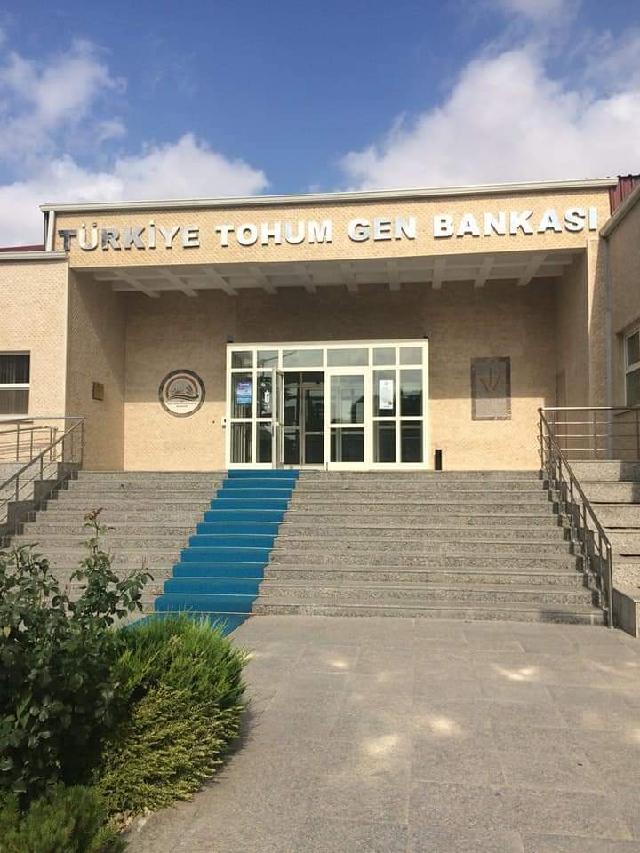 Tarım ve Orman Bakanlığı'nın Ankara'daki Tohum Gen Bankası , 250 bin numune saklama kapasitesiyle dünyanın en büyük 3. gen bankasıdır. Binlerce yıllık ata tohumlarının muhafaza edildiği merkezde 23.000 'i yerel olmak üzere 60.000 tür ve yaklaşık 120 bin adet tohum bulunuyor
