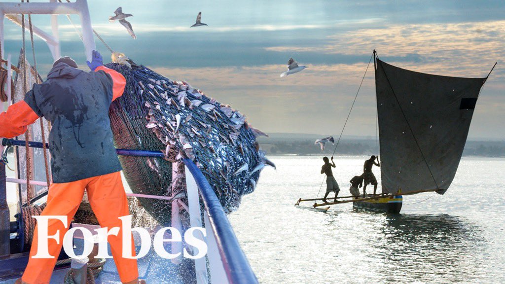 RileyHallaway's tweet image. How The Multibillion-Dollar Commercial Fishing Industry Is Robbing Coastal Indigenous Communities:
youtu.be/uGGO2A5Uysw