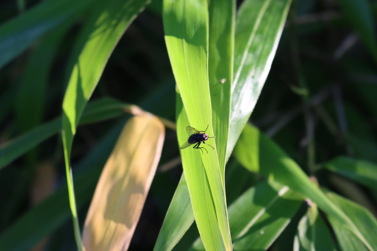 EszterEsztero's tweet image. My beautiful girl took the camera 📸 from me today 🥰I’m quite happy with her photos 📸🥰#momanddaughter time 😊🤗🌞#lovingnature