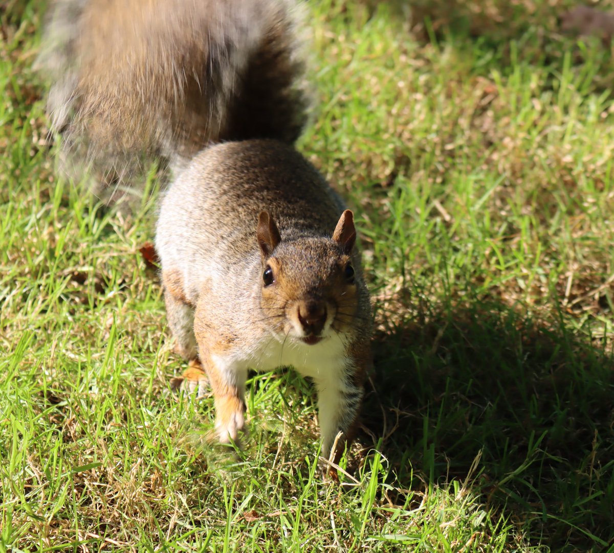 EszterEsztero's tweet image. My beautiful girl took the camera 📸 from me today 🥰I’m quite happy with her photos 📸🥰#momanddaughter time 😊🤗🌞#lovingnature