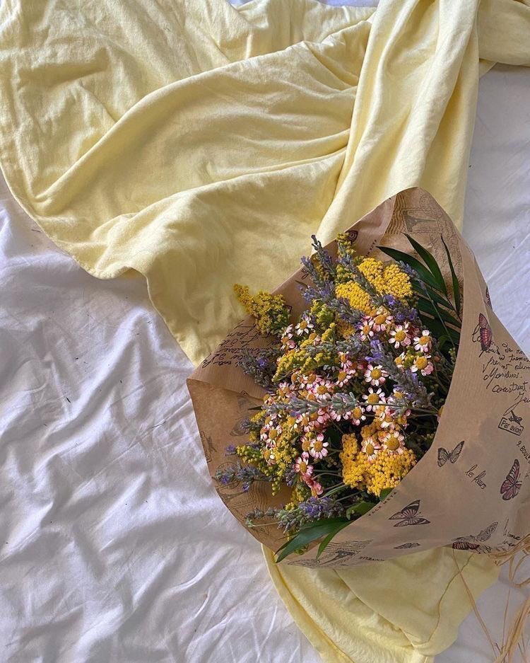 pınar 𐇵 tweet media