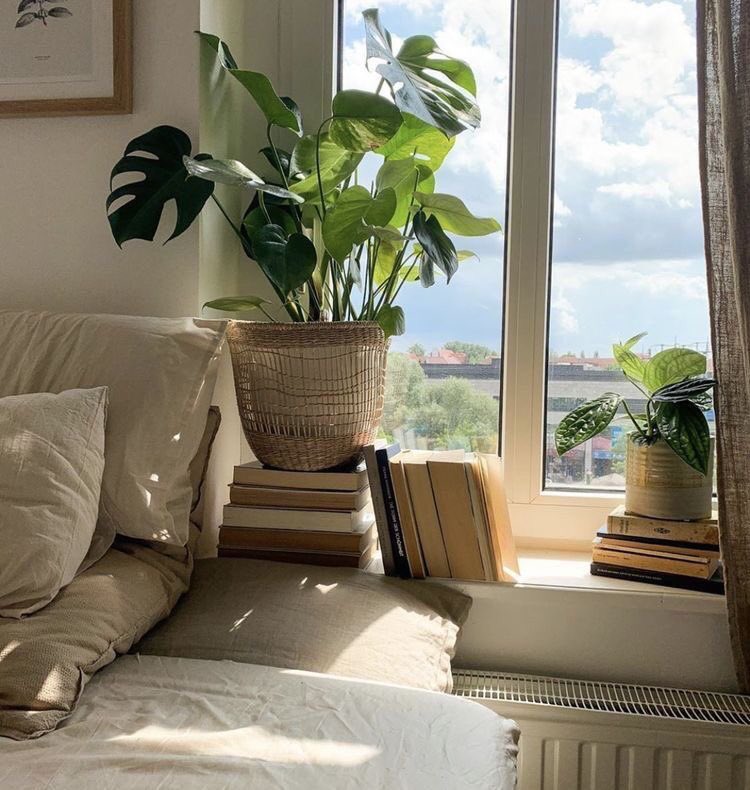 pınar 𐇵 tweet media