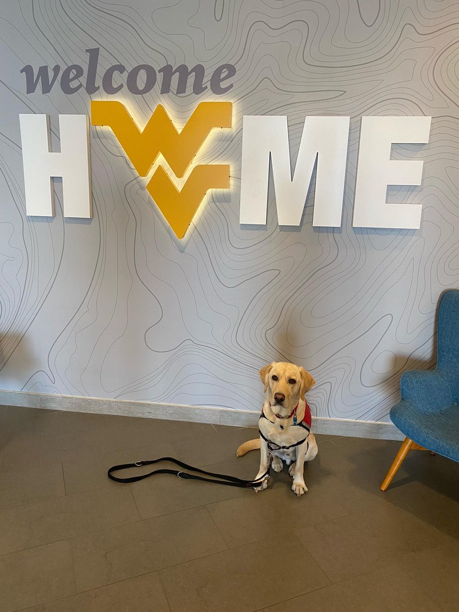 HeartsofGoldWV's tweet photo. Introducing our newest service dog team!! https://t.co/Xnzq7oz3WW