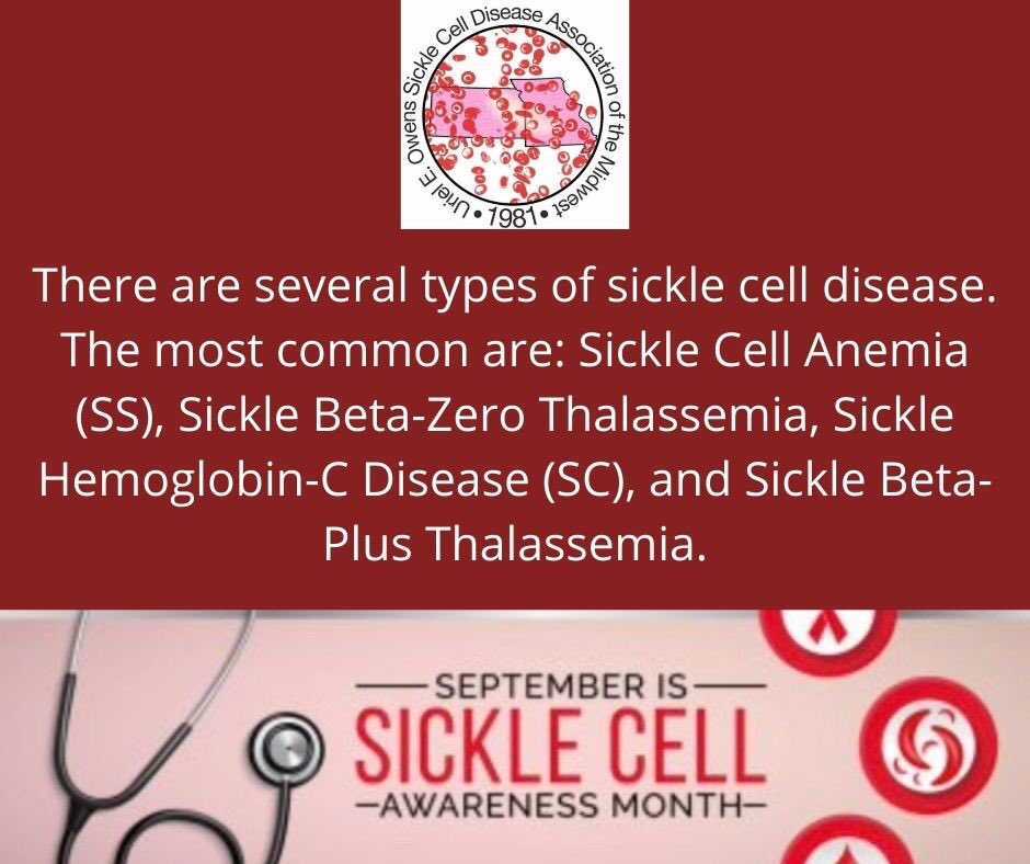 UEOSickleCell's tweet photo. Not all sickle cell disease is the same!  We continue to share facts throughout Sickle Cell Awareness Month! #SickleCellAwareness #SickleCellMidwest https://t.co/bv7bR0z1GW