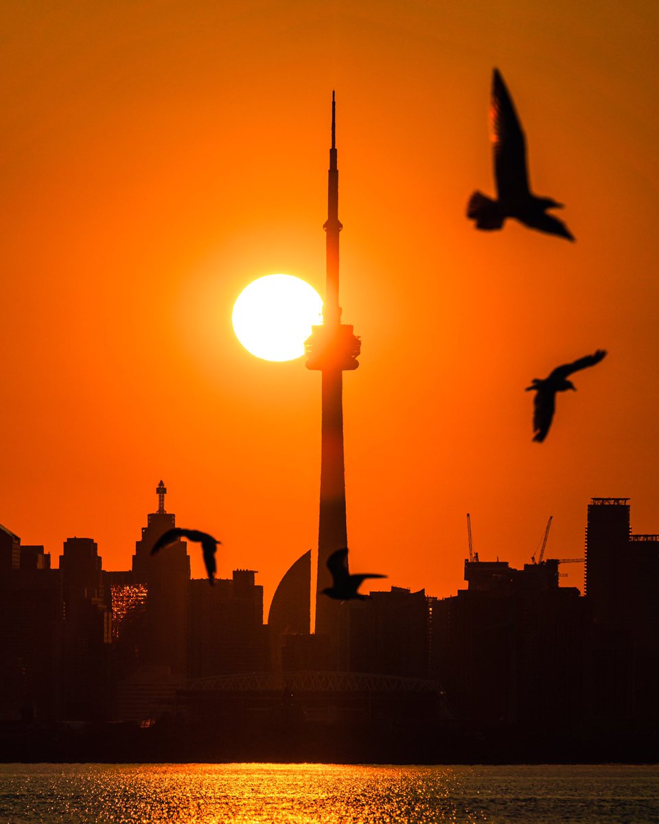 Tylersjourney_'s tweet photo. The beautiful moments that happen between sun alignments ☀️

#sunalignment #photooftheday #photography #toronto https://t.co/bbPIymbnyG