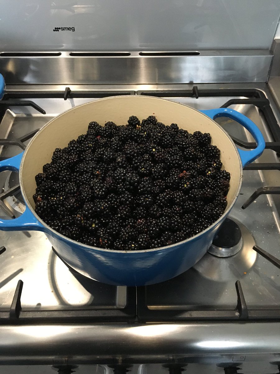 stuartgmckinlay's tweet photo. Dad alleges he used to pay my brother and I good money to do this 5p a bag…
#mimimumwage #foraging #bramblejam #greenockgolfcourse https://t.co/L8KLwrEYgM