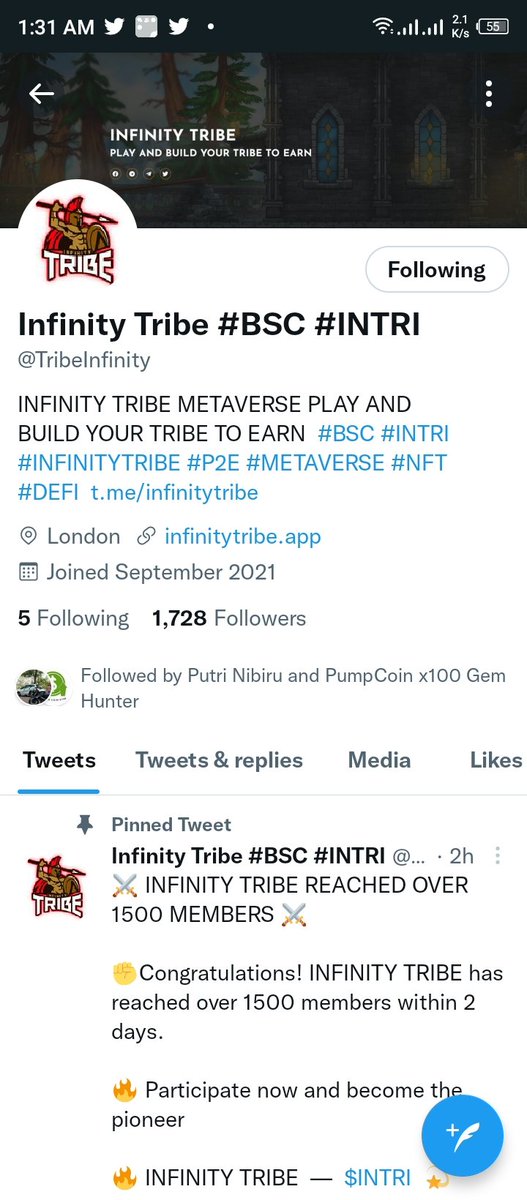 NFT Hunter tweet media