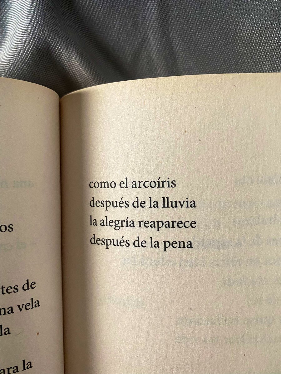 Cementedelibros's tweet photo. “cómo el arcoíris 
después de la lluvia 
la alegría reaparece 
después de la pena.”
Autor: Rupi Kaur
Libro: El sol y sus flores
#cementeriodelibros https://t.co/BPv2ln4BJ2