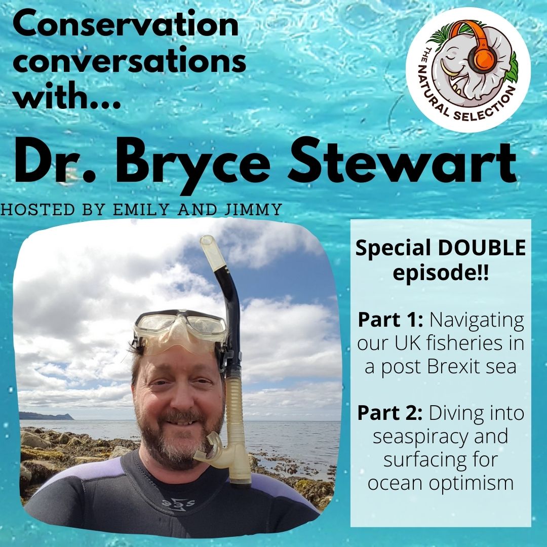 🚨NEW *DOUBLE* EPISODE🚨

Listen as we navigate post-Brexit seas with <a href="/BD_Stew/">Bryce Stewart</a> and dive head-first into a Seaspiracy discussion before surfacing for some much needed ocean optimism 🌊

You're going to need to buckle-up for this one!
linktr.ee/thenaturalsele…