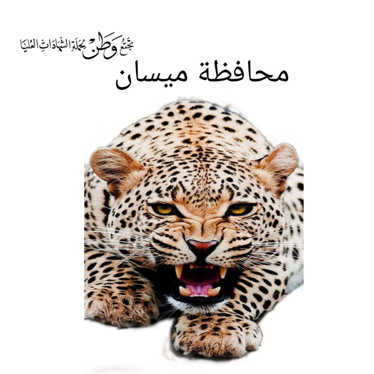 #الشهادات_يغلقون_الماليه
يوم غد موعد استرداد الحقوق