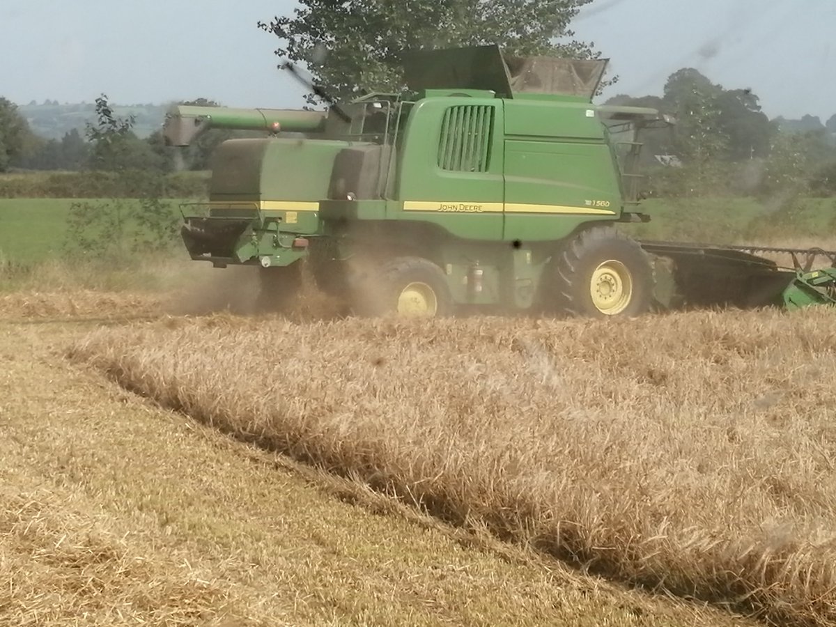 Harvest home today🚜 Spring Barley planted and grown by @ColegSirGar students. Feed and bedding for the 🐄🐄🐄.
