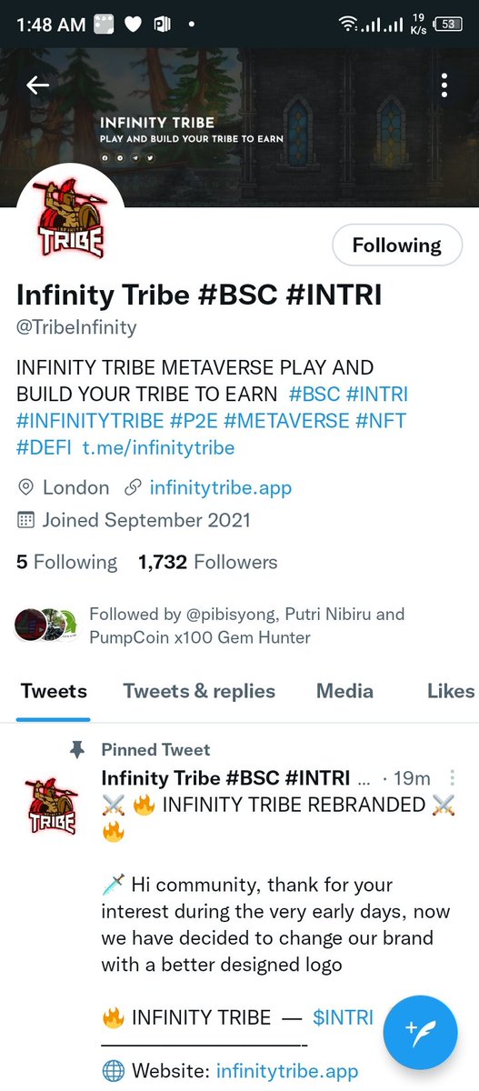 NFT Hunter tweet media