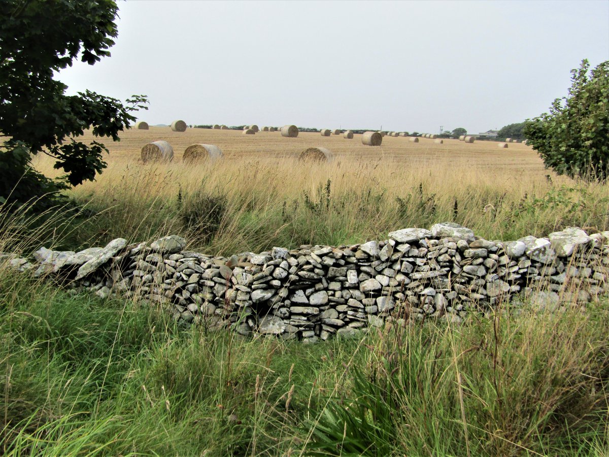 1karenmooney's tweet photo. Drystane waw at #Kearney #ArdsPeninsula, #PeninsulaPause https://t.co/N5v5L4YsP0