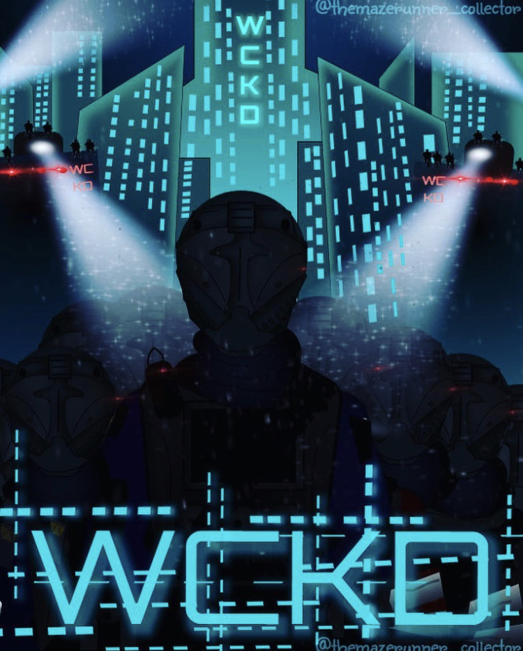 Recently Kaleb Gaertner reached out to us and sent us some photos of his #MazeRunner collection. He has over 75 books in total which is amazing and is easily the most impressive collection we’ve seen so far! We’d love to see more your collections, please post below!