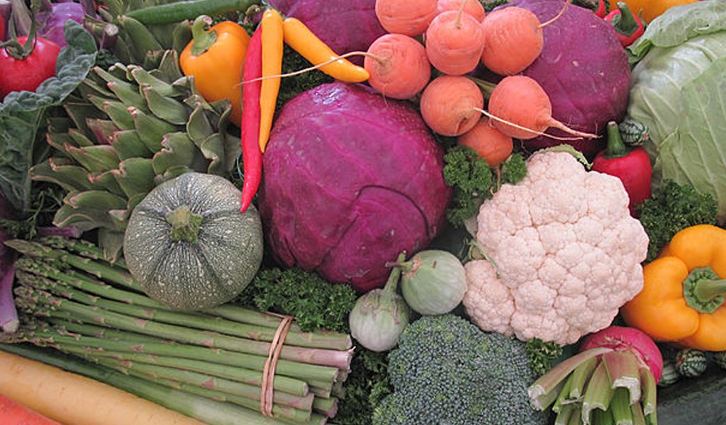 Published every Wednesday, the Weekly Harvest e-newsletter is a cornucopia of sustainable agriculture news, resources, events, and funding opportunities gleaned from the Internet and shared with you. Sign up! It's free.
attra.ncat.org/newsletter-arc…
