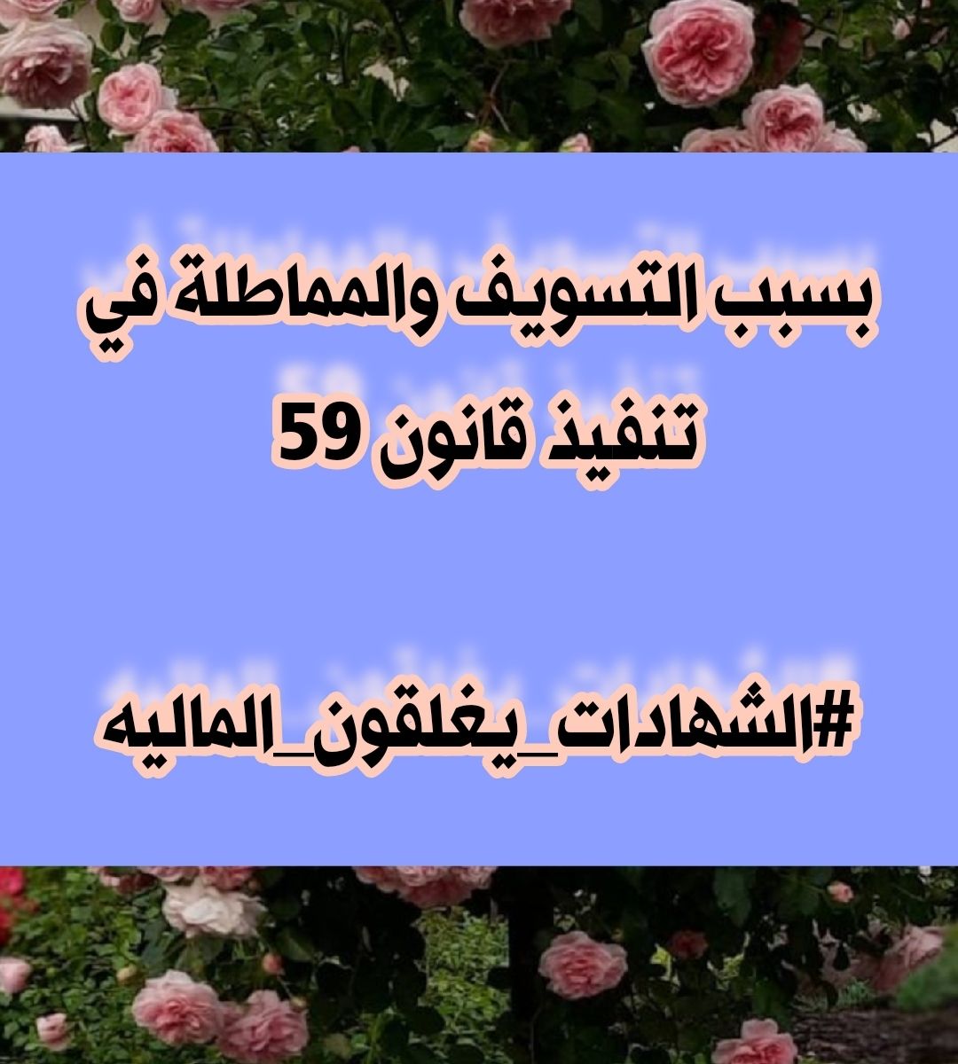 ♦لم ولن نخرج ضد احد، خرجنا وسنخرج من اجل حقوقنا،مطالبين بإحتضان الكفاءات وزجهم للعمل من اجل البلد يـــا «سيادة وزير المالية» 
تجمع_وطن_للشهادات_العليا
#الشهادات_يغلقون_الماليه
