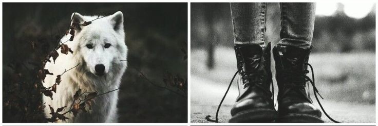 Mag1c_Wolf's tweet photo. ⠀⠀

⠀⠀ ⠀⠀ ⠀⠀        ☽ ☾ 
  ⠀⠀ 
⠀⠀⠀ ⠀Ｎｅｗ Ｌａｙｏｕｔ https://t.co/IVkqlpL7Di