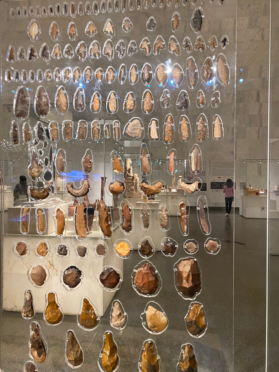 HistoryEgypt's tweet photo. Flint arrow heads, scrapers and other tools https://t.co/dj5t7tv0Qh #HistoryOfEgypt #UnlockEgyptsPast #Egypt #civilisationsmuseum #fustat https://t.co/MIMWDehIBG
