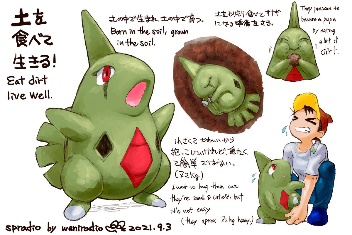 #ポケモンと生活 
#ヨーギラス
#Pokemon
#Larvitar
 
1日に1匹のポケモン
246日目はサナギになるまでモリモリ土を食べるヨーギラス🪨! 