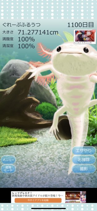 ウーパールーパーのtwitterイラスト検索結果