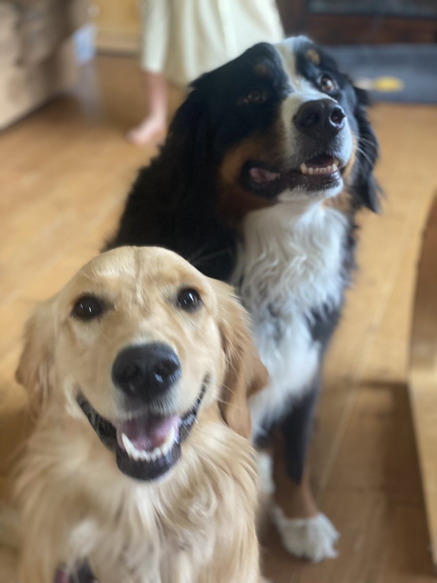 bunsenbernerbmd's tweet image. When you hear the word bacon