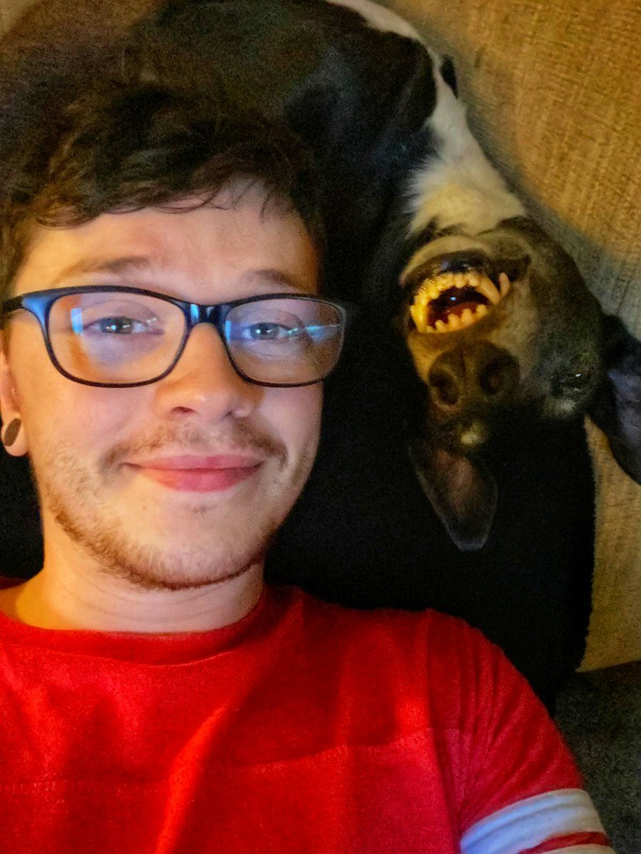 MaxGreyhoundUK's tweet photo. Me and one of the young human food providers. This one doesn't eat toast. I'm working on him. 
#Greyhound
#ToastMonster https://t.co/H0H6FpLb0m