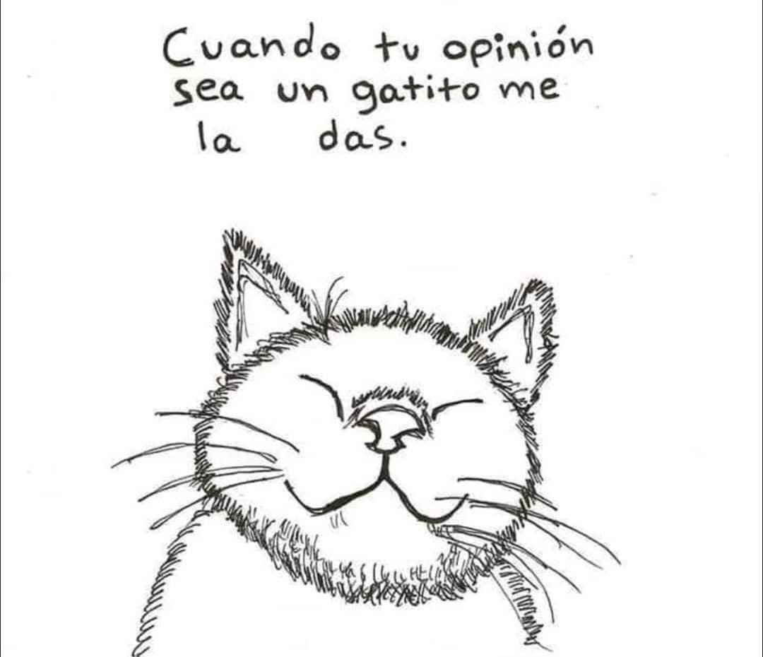 LessJimnz's tweet image. ✨✨✨