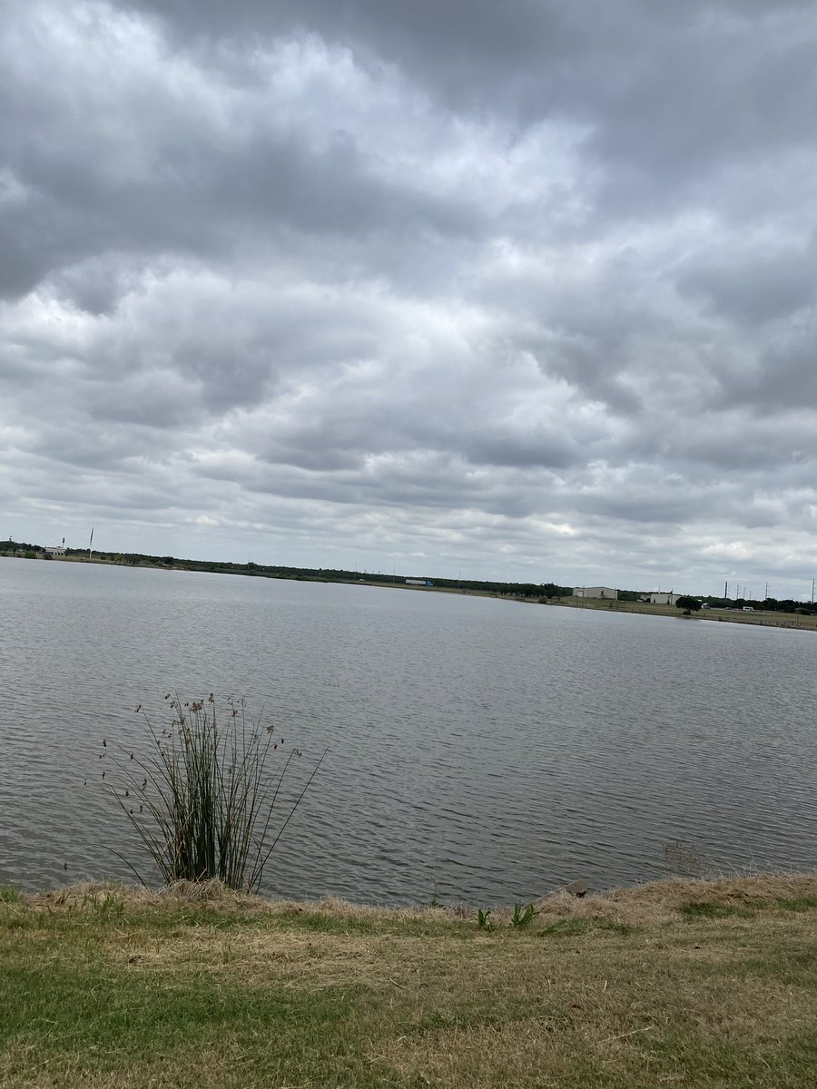 mexinae93's tweet image. Another 2 miles down! 😁#run #prettyDay #loveRunning #sunday