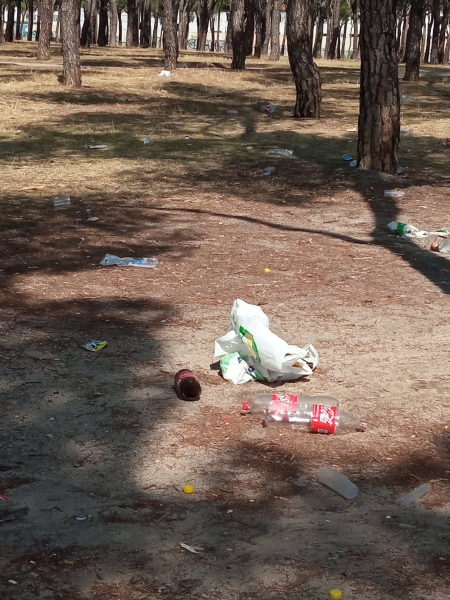 TransiRuiz's tweet photo. Continuos botellones en el Pinar de San José, ruidos hasta la madrugada y suciedad en un parque donde juegan niños. Sin limpieza ¿Policia? Fotos de hoy mismo después de otra noche sin dormir @Lineamadrid @policiademadrid #stopbotellones #suciedad #ruido #respetovecinos #stopruido https://t.co/j4unsFeExn