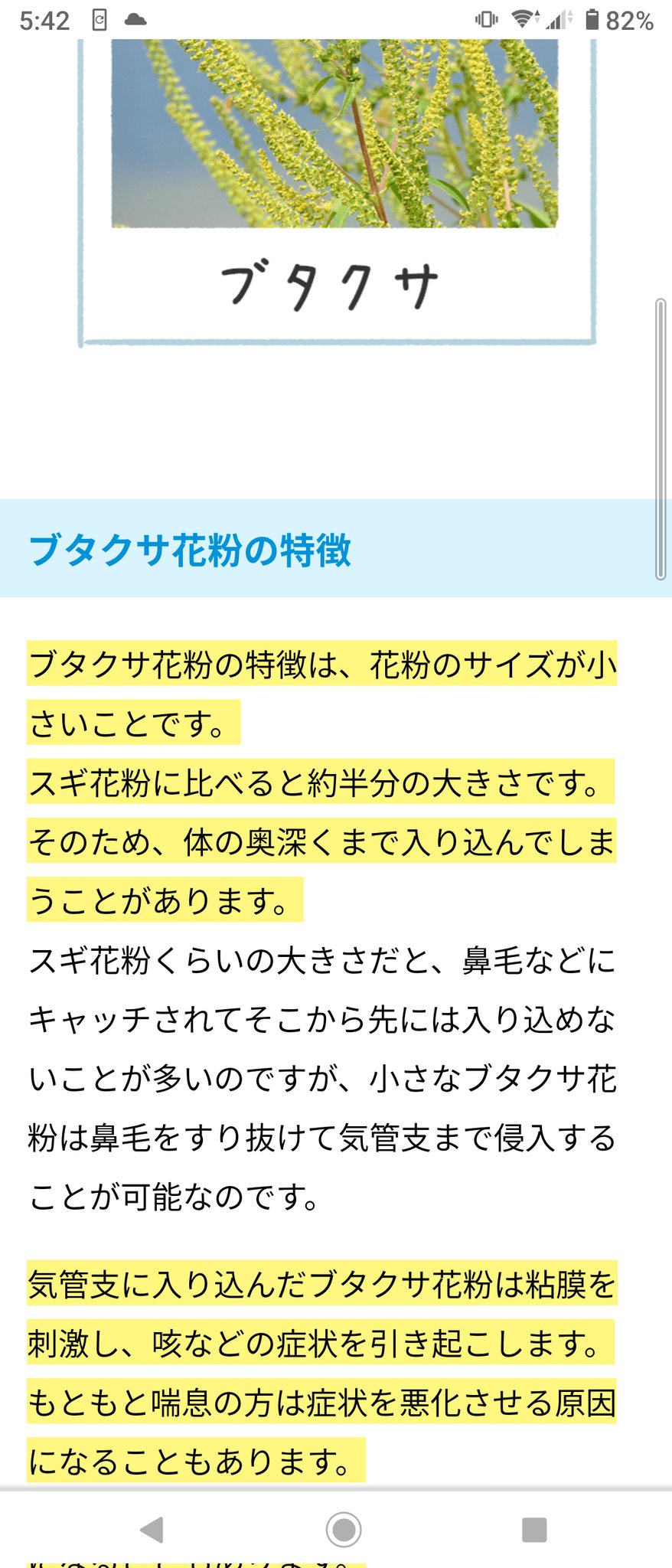 豚草 Twitter Search Twitter